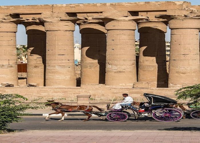 horse carriage in luxor